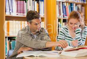 Two smiling students studying together