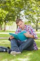 Handsome focused student sitting on grass studying