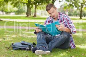 Handsome concentrating student sitting on grass studying