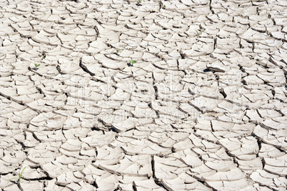 dry season - dried ground