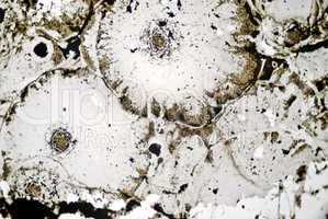 microscopic soot particles