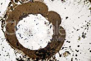 microscopic soot particles