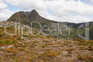 Cradle Mountain Nationalpark, Tasmanien, Australien