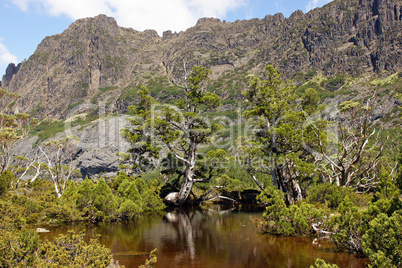 Artist Pool, Cradle Mountain Nationalpark, Tasmanien, Australien