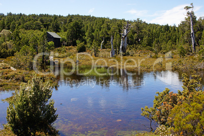 weiher, cradle mountain nationalpark, tasmanien, australien