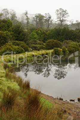 Weiher, Cradle Mountain Nationalpark, Tasmanien, Australien