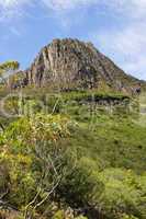 Cradle Mountain Nationalpark, Tasmanien, Australien