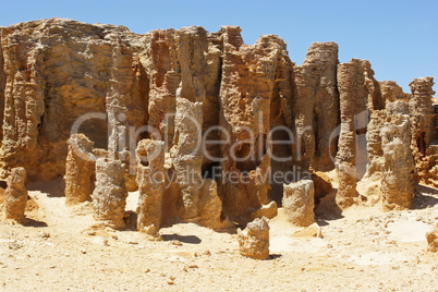 Versteinerter Wald, Cape Bridgewater, Victoria, Australien