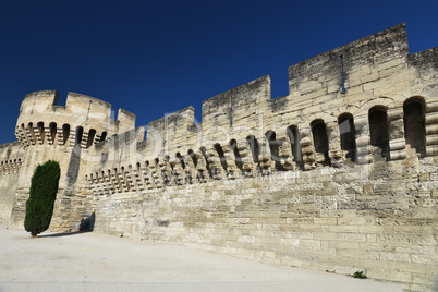 town wall of avignon