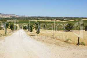 Barossa Valley, Australien