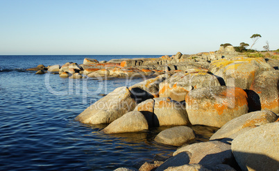 Bay of Fires, Tasmanien, Australien