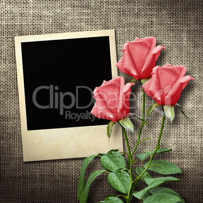 Polaroid-style photo on a linen background  with red roses