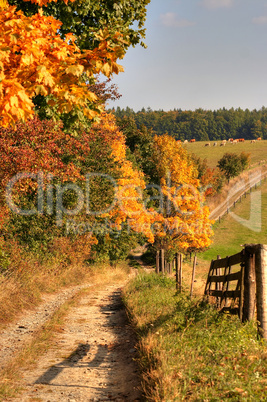 Cart-road and autumn landscape
