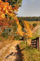 Cart-road and autumn landscape