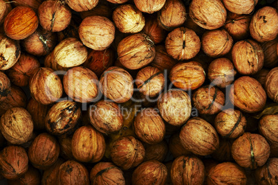 walnuts - autumn fruits