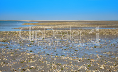 Wadden sea