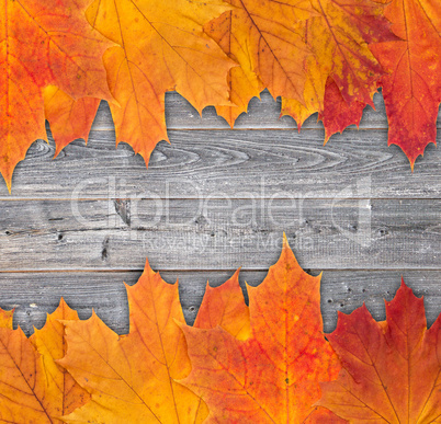 Buntes Herbstlaub auf Holz