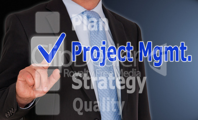 projekt management