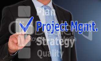 projekt management