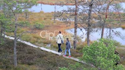 Five people walking on the wooden trail on bog swamp