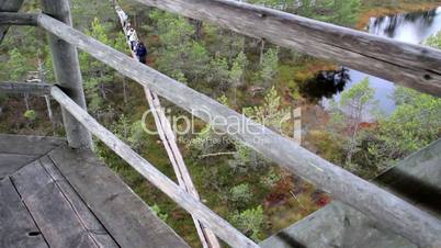 Overhead view of the people walking on the wooden trail on bog swamp