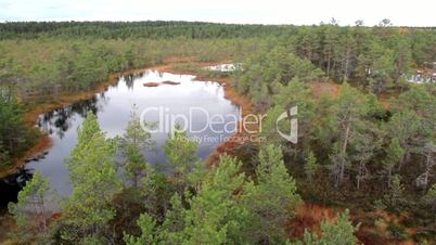 Overhead view of the large bog swamp marsh land with water puddles on ground