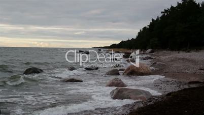 Rocks on the shoreline and the forest at the side