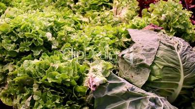 Big cabbages and green leafy vegetables