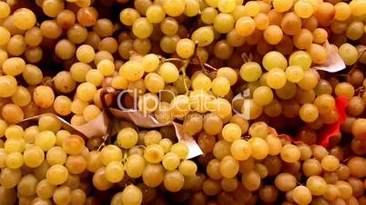 Several lots of yellow grapes are neatly piled