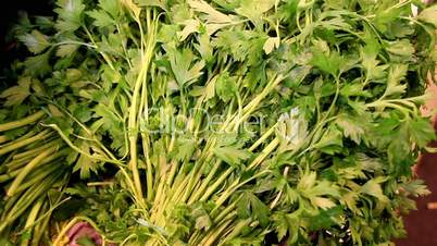 Parsley tied green celeries on display in a bunch