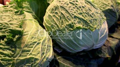 Close image of the large cabbage head