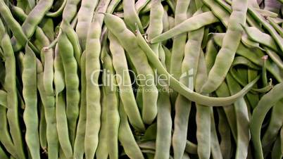 Lots of ecological green beans in pile