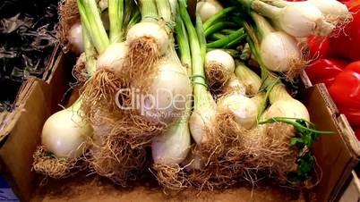 Close up image of eco spring onions