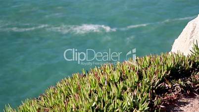 Watching the water on a cliff green grasses on top of the mountain