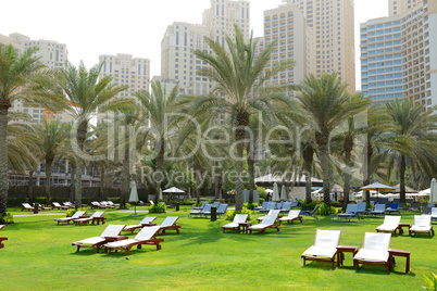 sunbeds on the green lawn and palm trees shadows in luxury hotel