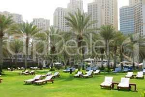 sunbeds on the green lawn and palm trees shadows in luxury hotel