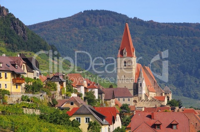 weissenkirchen in der wachau - weissenkirchen in wachau 04