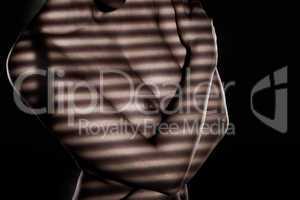 naked woman with venetian blind shadow effect