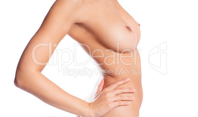 torso of a beautiful topless woman