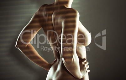 sexy naked woman standing in striped shadow