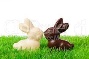 black and white easter rabbits