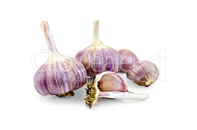 garlic whole and cloves