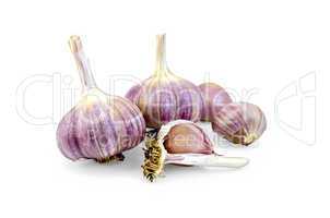 garlic whole and cloves