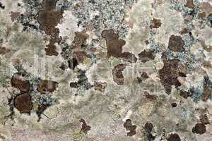 granite mottled brown