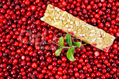 granola bar in the cranberries with a sprig