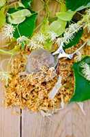 herbal tea from linden flowers in a tea strainer
