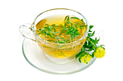 herbal tea with flowers rhodiola rosea in a glass cup