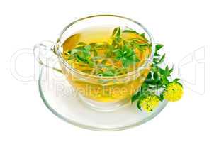 herbal tea with flowers rhodiola rosea in a glass cup