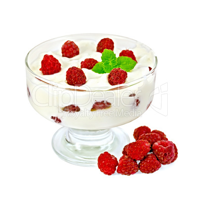 yogurt thick with raspberries and mint