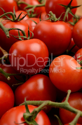 red tomatoes